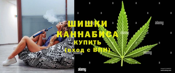 гидра Медвежьегорск