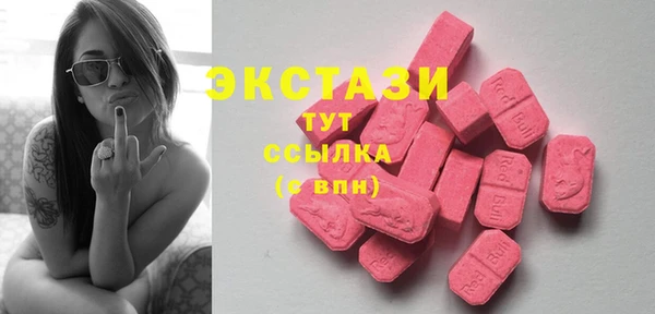 гидра Медвежьегорск