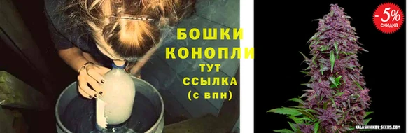 mdpv Болотное