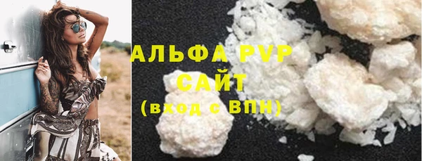 дживик Щигры