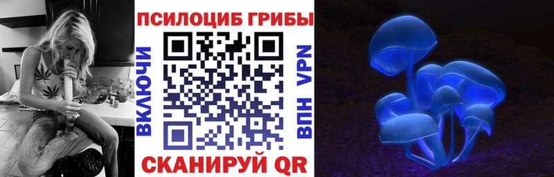 Псилоцибиновые грибы MAGIC MUSHROOMS blacksprut маркетплейс Чулым хочу